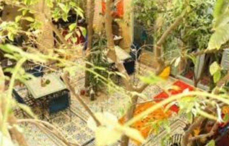 Riad Les Jardins De Kesali 马拉喀什 外观 照片